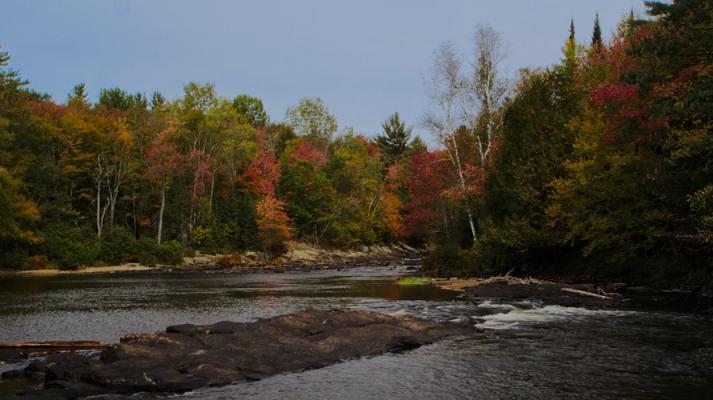 Oxtongue Rapids Park